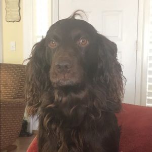 Meet your Posher, Brooke